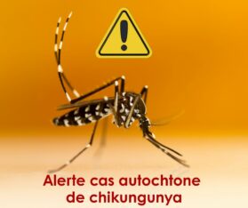 Alerte cas autochtone de chikungunya