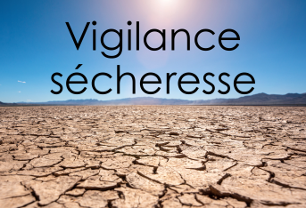 Vigilance sécheresse : adoptons les bons réflexes dès maintenant