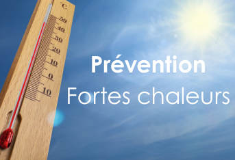 Fortes chaleurs : adoptons les bons réflexes pour nous protéger