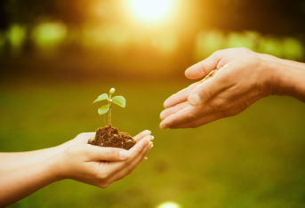 Développement durable : animations à venir